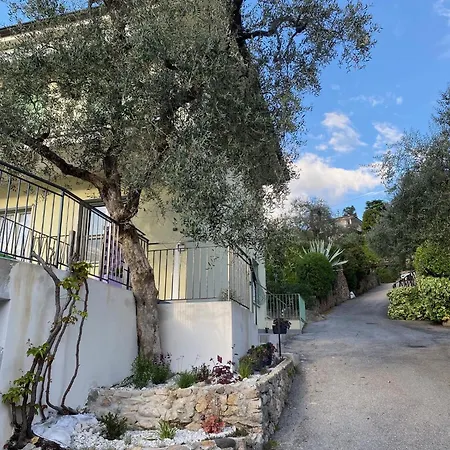 Апартаменты Oleander House