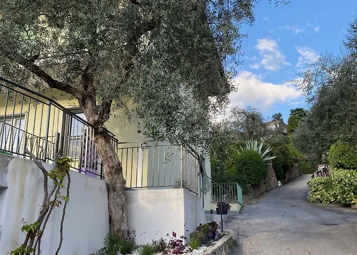 Апартаменты Oleander House