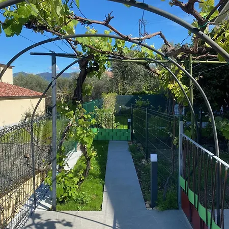 Apartment Oleander House Torri Del Benaco