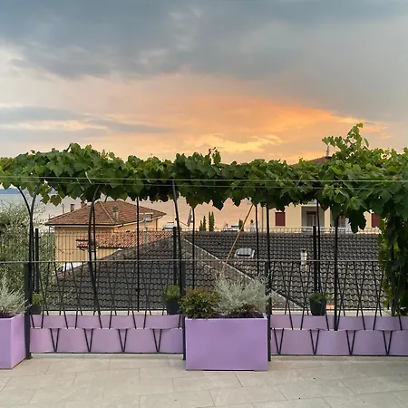 Oleander House *